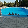 Bild (82)